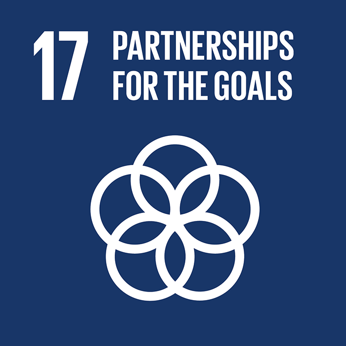 Partnerships for the goals logo