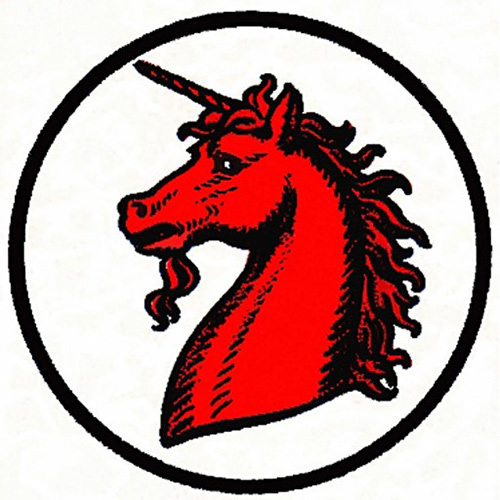 signal squadron badge